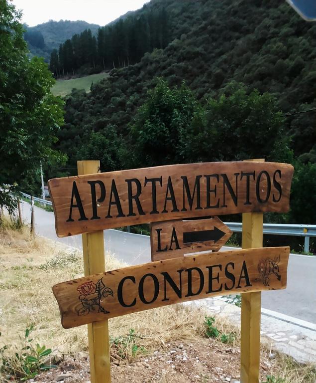 Valmeo Apartamentos La Condesa מראה חיצוני תמונה