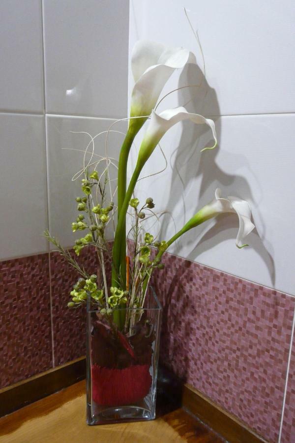 Valmeo Apartamentos La Condesa מראה חיצוני תמונה